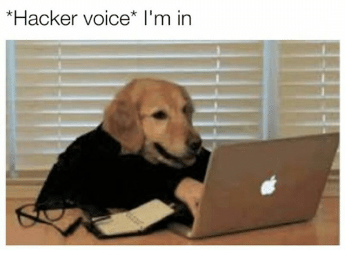 hacker doggo codingjar